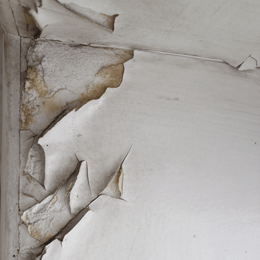 What's Causing My Interior Paint to Peel? 8 Common Problems & Their Fixes